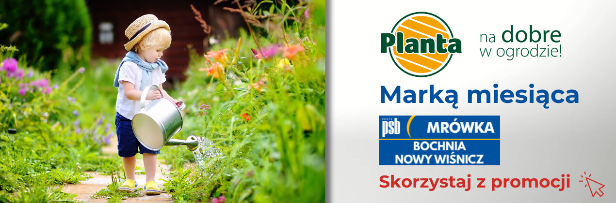 zdjęcie na stronie głównej